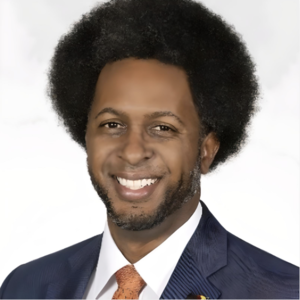 Amir L 